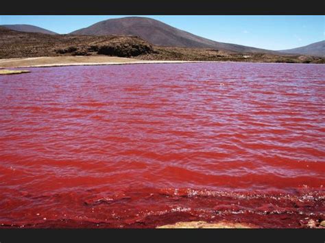 Whore Lagoa Vermelha